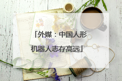 外媒：中国人形机器人志存高远